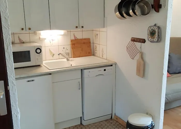 Cosy Au Pied Des Pistes, Centre Station - Fr-1-516-51 *